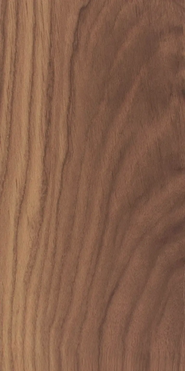Black Walnut wood grain texture