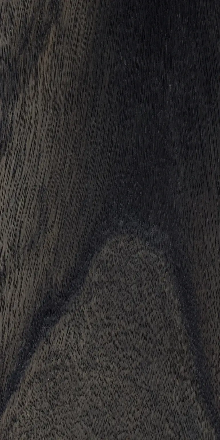 Gaboon Ebony wood grain texture