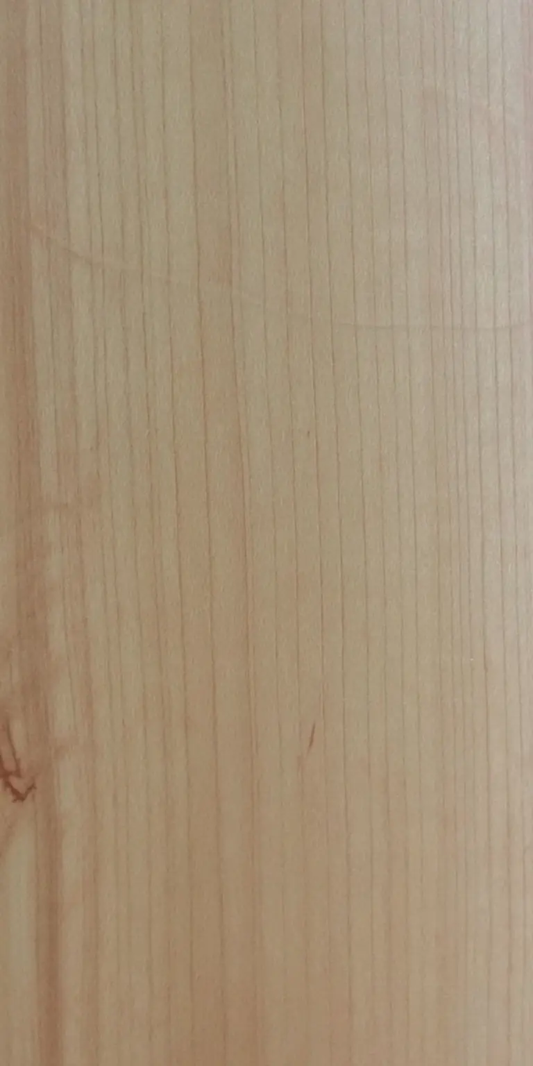 Sugar Maple wood grain texture